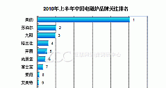 2010年上半年中国电磁炉市场研究报告