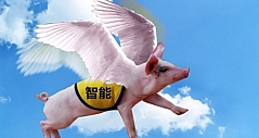 IFA辣评：站在风口“智能猪”真能飞起来么？