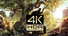 电视盒子的HDR和4K是何意？详解技术刚需