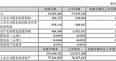 苏宁易购：一季度营收540.05亿元同比下降6.63%