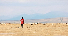 驱车170公里将一单快递送货上门 藏族女快递员5年跑了25万公里
